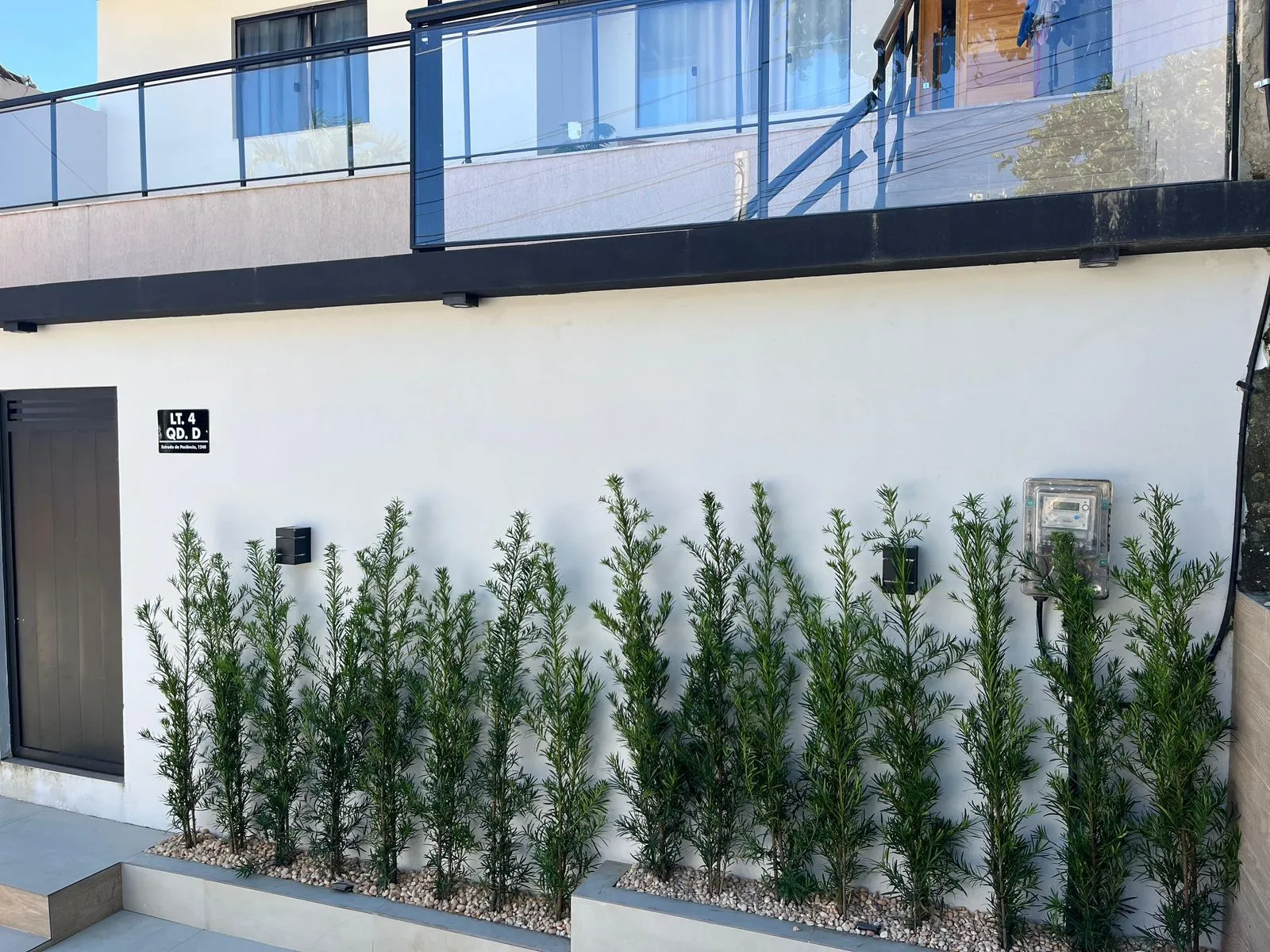 Paisagismo com cerca viva de podocarpus em Paciência, RJ